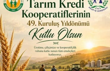 Adsız tasarım (35)